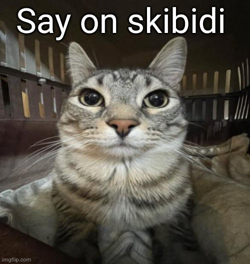 this is serious | Say on skibidi | image tagged in zazu staring,skibidi,serious | made w/ Imgflip meme maker