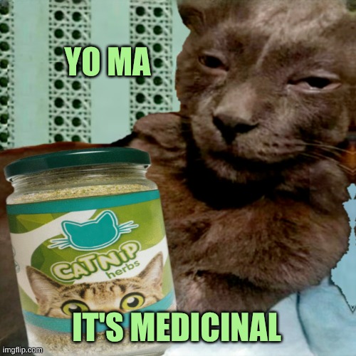 Dat Nip | YO MA; IT'S MEDICINAL | image tagged in cat,catnip,medicine,funky,now its time to get funky,playing vinyl records | made w/ Imgflip meme maker
