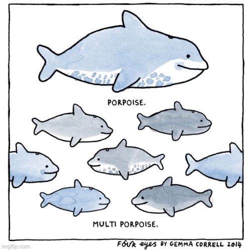 Four Eyes | image tagged in comics,four eyes,porpoise,multi porpoise | made w/ Imgflip meme maker