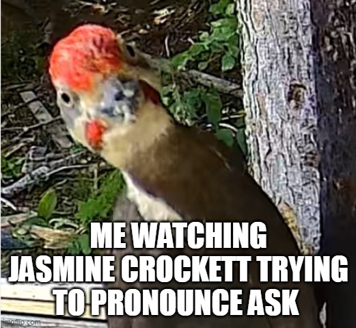 ME WATCHING JASMINE CROCKETT TRYING TO PRONOUNCE ASK | made w/ Imgflip meme maker