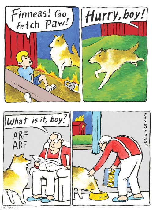 Lassie would’ve gotten help for that boy… | image tagged in comics,pbf,dog and boy,help,burning barn,useless | made w/ Imgflip meme maker