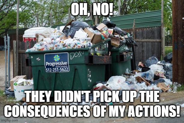 Garbage Consequences | OH, NO! THEY DIDN'T PICK UP THE CONSEQUENCES OF MY ACTIONS! | image tagged in garbage | made w/ Imgflip meme maker