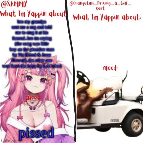 orangutan and Sammy's shared temp | bro my grandpa sent me a sng and told me to sing it at his funeral..bro im crying (the song was little boy an the preacher man by Nu Breed & Jesse Howard..the other one was Save the roses by Lee brice); pissed | image tagged in orangutan and sammy's shared temp | made w/ Imgflip meme maker