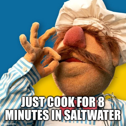 Swedish Chef | JUST COOK FOR 8 MINUTES IN SALTWATER | image tagged in swedish chef | made w/ Imgflip meme maker