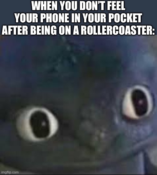 Based on a real event | WHEN YOU DON’T FEEL YOUR PHONE IN YOUR POCKET AFTER BEING ON A ROLLERCOASTER: | image tagged in toothless _ face,roller coaster,funny | made w/ Imgflip meme maker
