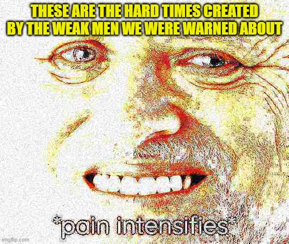 hold the intensified pain harold | THESE ARE THE HARD TIMES CREATED BY THE WEAK MEN WE WERE WARNED ABOUT | image tagged in hold the intensified pain harold | made w/ Imgflip meme maker