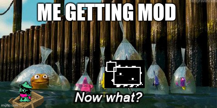qhar | ME GETTING MOD | image tagged in now what | made w/ Imgflip meme maker