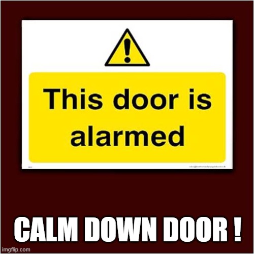 This Situation Needs To Be Handled With Tact ! | CALM DOWN DOOR ! | image tagged in door,alarmed,calm down | made w/ Imgflip meme maker