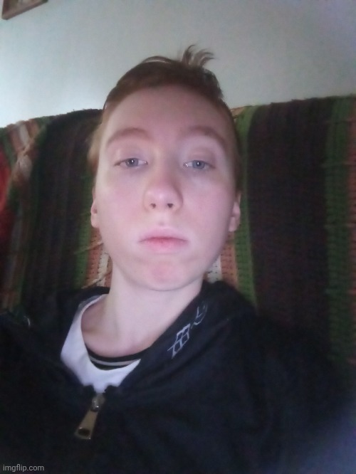 Chat Decides What I Post Next | image tagged in face reveal,no fucks given,lets go,anyway | made w/ Imgflip meme maker