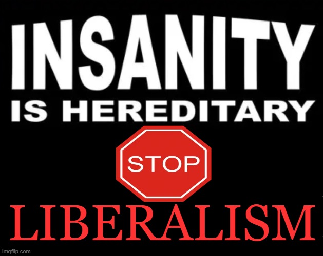 Insanity and Liberalism Blank Meme Template
