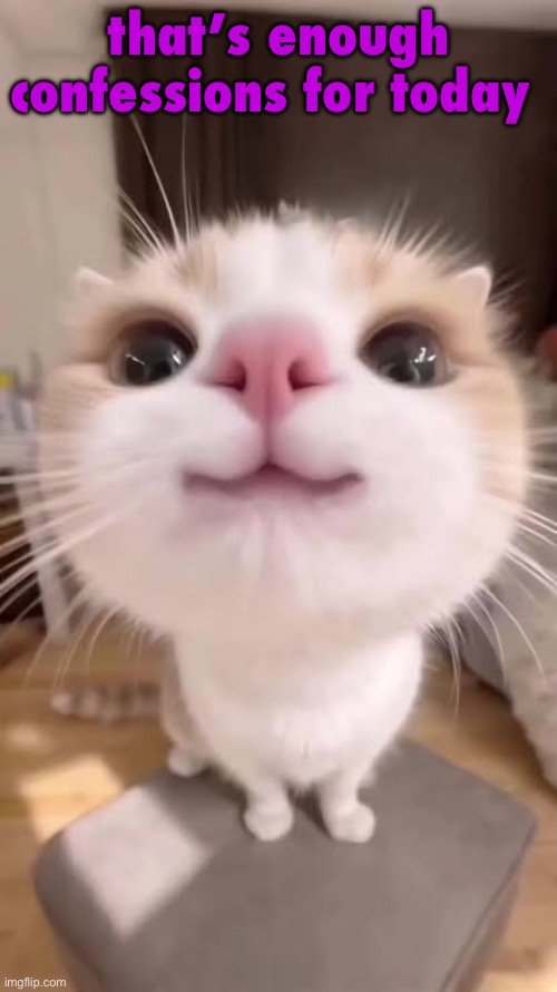 gatito | that’s enough confessions for today | image tagged in gatito | made w/ Imgflip meme maker