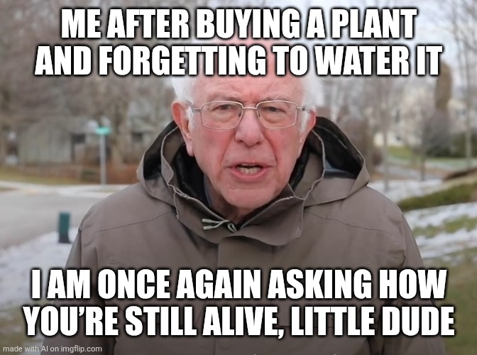 Bernie Sanders Once Again Asking | ME AFTER BUYING A PLANT AND FORGETTING TO WATER IT; I AM ONCE AGAIN ASKING HOW YOU’RE STILL ALIVE, LITTLE DUDE | image tagged in bernie sanders once again asking | made w/ Imgflip meme maker