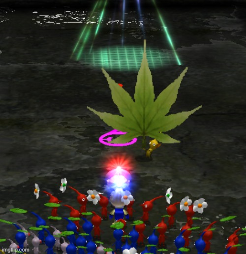 YES THE WEED | made w/ Imgflip meme maker