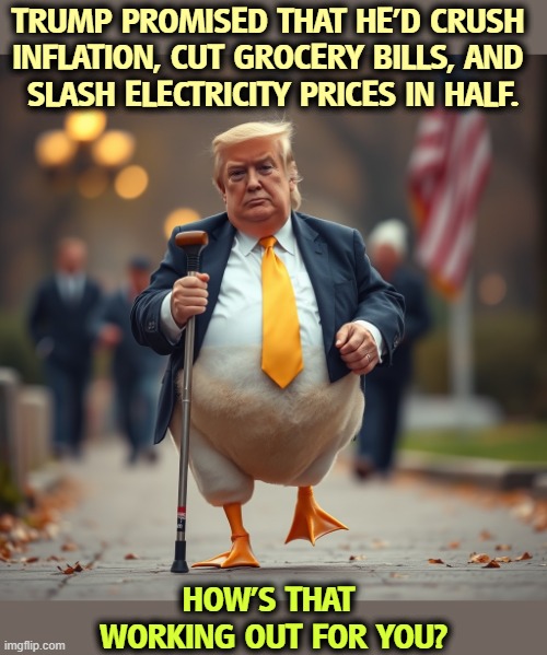 TRUMP PROMISED THAT HE’D CRUSH 
INFLATION, CUT GROCERY BILLS, AND 
SLASH ELECTRICITY PRICES IN HALF. HOW'S THAT 
WORKING OUT FOR YOU? | image tagged in trump,promises,liar,embarrassing,maga | made w/ Imgflip meme maker
