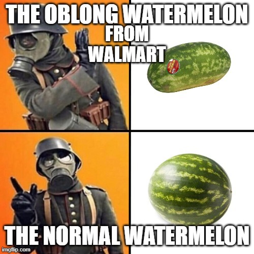 oblong watermelon | FROM WALMART | image tagged in watermelon | made w/ Imgflip meme maker