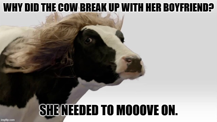 Daily Bad Dad Joke September 24, 2025 | WHY DID THE COW BREAK UP WITH HER BOYFRIEND? SHE NEEDED TO MOOOVE ON. | image tagged in fabio cow | made w/ Imgflip meme maker