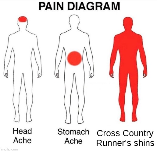 this is me fr | Cross Country Runner's shins | image tagged in pain diagram | made w/ Imgflip meme maker