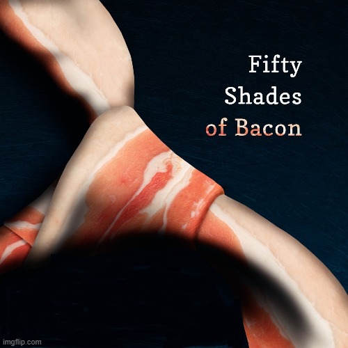 "Great Book" -Bacon Lovers News / "Real page-turner" -Bacon Free Press | image tagged in vince vance,tie,necktie,50 shades,50 shades of grey,bacon memes | made w/ Imgflip meme maker