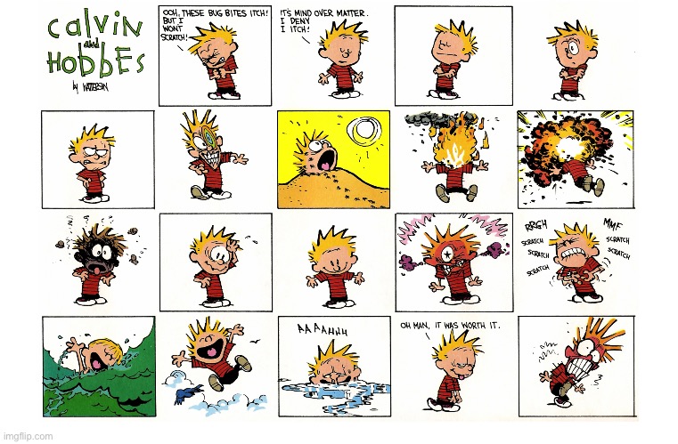 We’ve all had that happen… | image tagged in calvin and hobbes,comics,bug bites,dont scratch,itching,burning | made w/ Imgflip meme maker