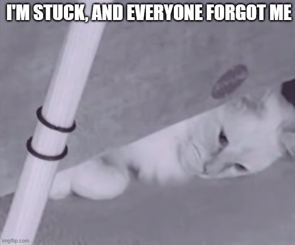 poor kity | I'M STUCK, AND EVERYONE FORGOT ME | made w/ Imgflip meme maker