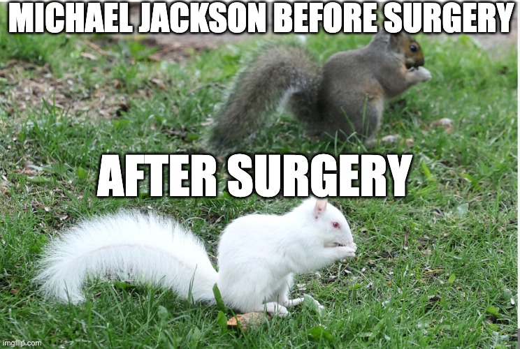 MICHAEL JACKSON BEFORE SURGERY; AFTER SURGERY | made w/ Imgflip meme maker
