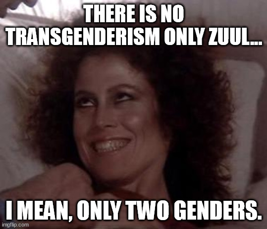 The truth. | THERE IS NO TRANSGENDERISM ONLY ZUUL... I MEAN, ONLY TWO GENDERS. | image tagged in there is no dana only zuul,zuul,transgender,trans,memes,biology | made w/ Imgflip meme maker