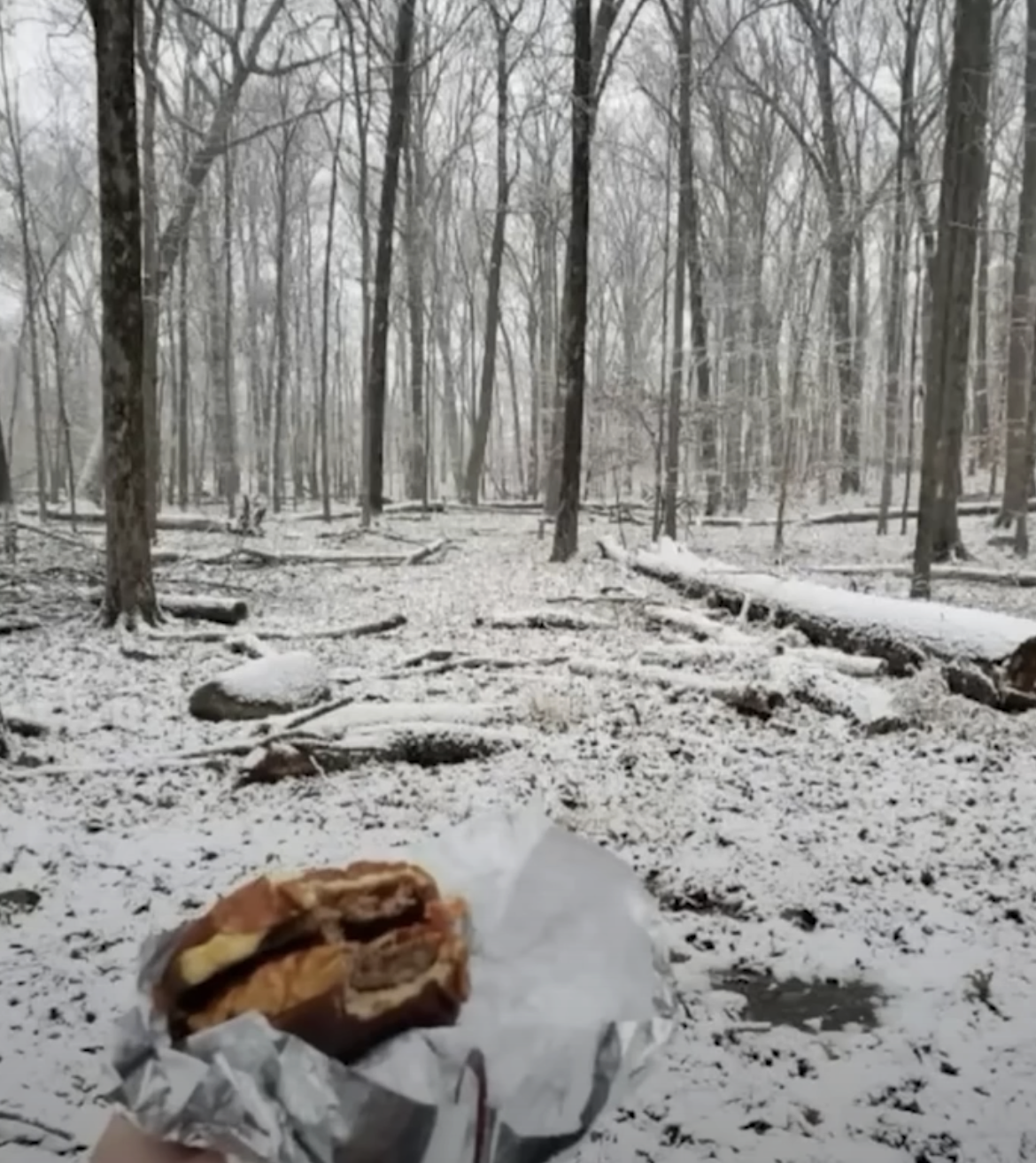 Eating a baconator in the woods Blank Meme Template