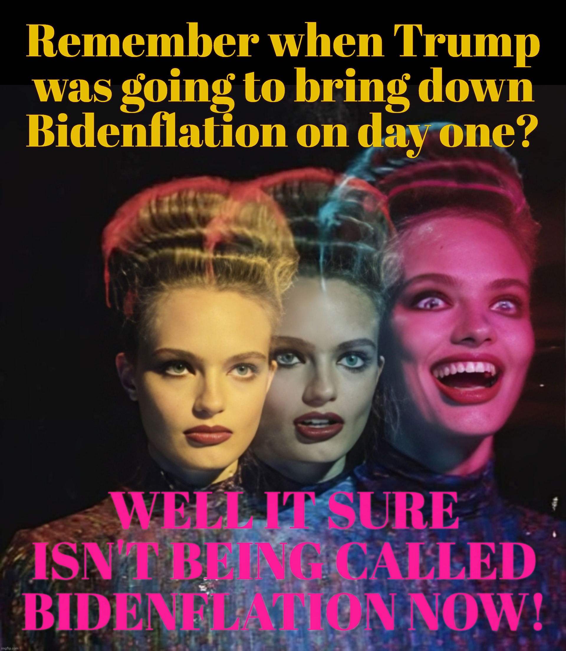 Remember when Trump was supposed to bring down inflation on day one? No one does | Remember when Trump was going to bring down Bidenflation on day one? WELL IT SURE ISN'T BEING CALLED
BIDENFLATION NOW! | image tagged in hardy har har ii,inflation,bidenflation,trump promises not kept,trumpflation,everyone forgot | made w/ Imgflip meme maker