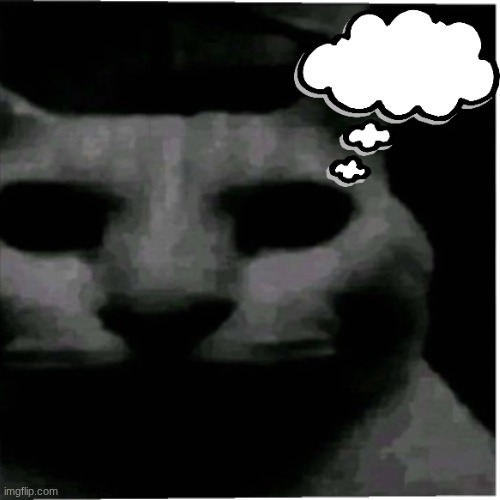 Uncanny cat | image tagged in uncanny cat | made w/ Imgflip meme maker