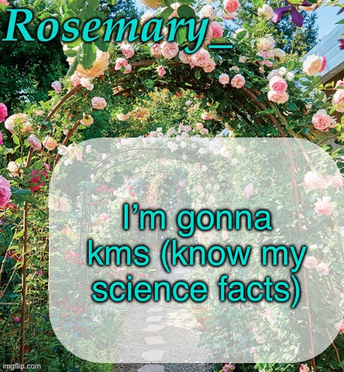 Rosemary_ template | I’m gonna kms (know my science facts) | image tagged in rosemary_ template | made w/ Imgflip meme maker