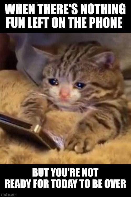 Crying cat on phone | WHEN THERE'S NOTHING FUN LEFT ON THE PHONE BUT YOU'RE NOT READY FOR TODAY TO BE OVER | image tagged in crying cat on phone | made w/ Imgflip meme maker