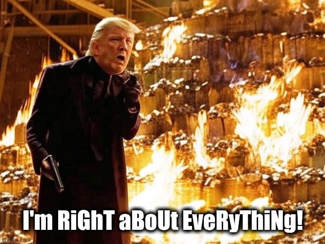 Stable Genius | I'm RiGhT aBoUt EveRyThiNg! | image tagged in trump fire | made w/ Imgflip meme maker