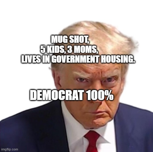 Trump mugshot | MUG SHOT,             5 KIDS, 3 MOMS,              LIVES IN GOVERNMENT HOUSING. DEMOCRAT 100% | image tagged in trump mugshot | made w/ Imgflip meme maker
