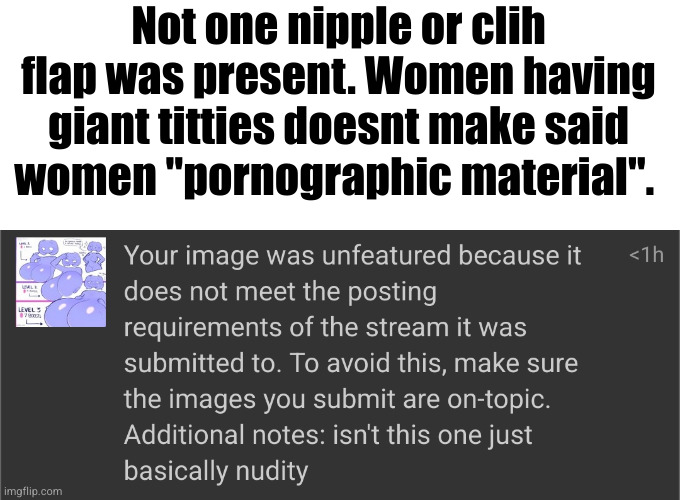 Not one nipple or clih flap was present. Women having giant titties doesnt make said women "pornographic material". | made w/ Imgflip meme maker