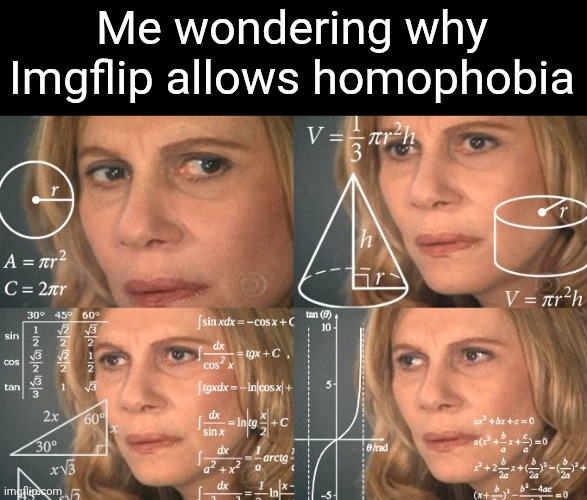 (Ada: beyond me vro) | Me wondering why Imgflip allows homophobia | image tagged in calculating meme | made w/ Imgflip meme maker