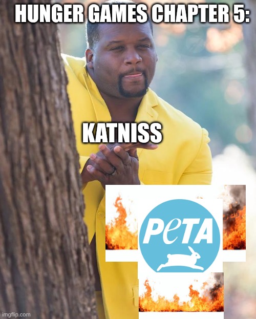 Hunger Games Chapter 5 out of context | HUNGER GAMES CHAPTER 5:; KATNISS | image tagged in anthony adams rubbing hands,hunger games | made w/ Imgflip meme maker