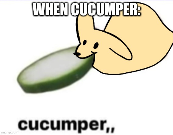 Gourmand cucumper,, | WHEN CUCUMPER: | image tagged in gourmand cucumper | made w/ Imgflip meme maker
