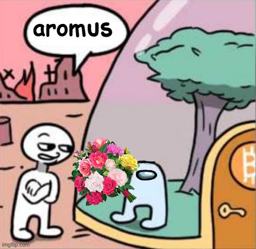 aromas | arom | image tagged in amogus,smell,ship,shipping | made w/ Imgflip meme maker