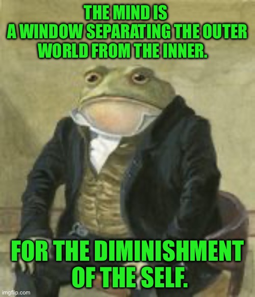 Colonel Toad | THE MIND IS 
A WINDOW SEPARATING THE OUTER WORLD FROM THE INNER. FOR THE DIMINISHMENT  OF THE SELF. | image tagged in colonel toad | made w/ Imgflip meme maker
