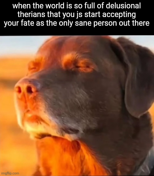 i'm cooked | when the world is so full of delusional therians that you js start accepting your fate as the only sane person out there | image tagged in i'm cooked | made w/ Imgflip meme maker