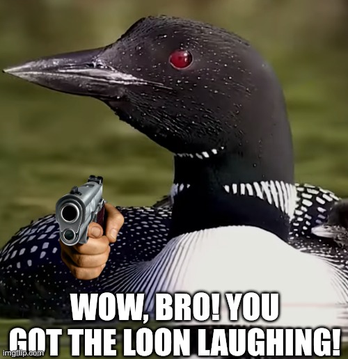Loon says: "It's not funny!" | WOW, BRO! YOU GOT THE LOON LAUGHING! | image tagged in loon bird,meme,not funny didn't laugh | made w/ Imgflip meme maker