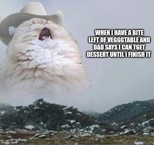 realatble | WHEN I HAVE A BITE LEFT OF VEGGGTABLE AND DAD SAYS I CAN TGET DESSERT UNTIL I FINISH IT | image tagged in country roads cat | made w/ Imgflip meme maker