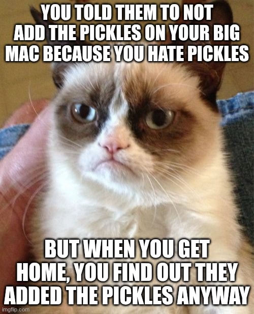 Everyone hates Pickles on their Big Mac | YOU TOLD THEM TO NOT ADD THE PICKLES ON YOUR BIG MAC BECAUSE YOU HATE PICKLES; BUT WHEN YOU GET HOME, YOU FIND OUT THEY ADDED THE PICKLES ANYWAY | image tagged in memes,grumpy cat,pickles,big mac | made w/ Imgflip meme maker