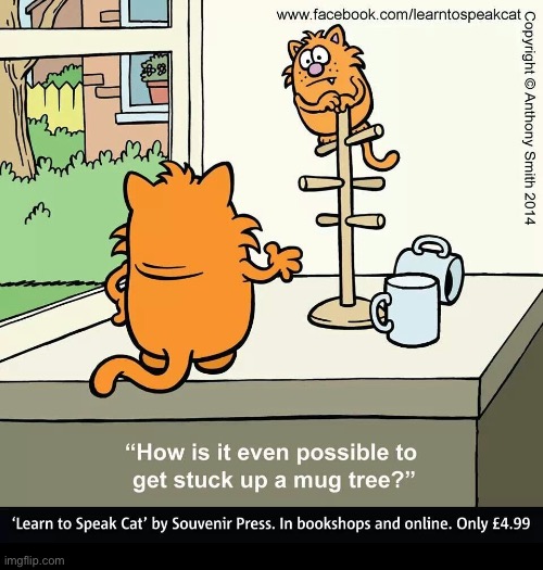 Learn to Speak Cat | image tagged in cats,learn to speak cat,mug tree,stuck | made w/ Imgflip meme maker