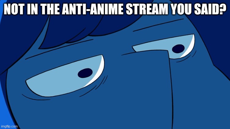 Lapis Lazuli stare | NOT IN THE ANTI-ANIME STREAM YOU SAID? | image tagged in lapis lazuli stare | made w/ Imgflip meme maker