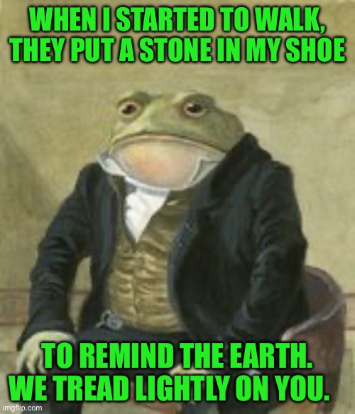 Colonel Toad | WHEN I STARTED TO WALK, THEY PUT A STONE IN MY SHOE; TO REMIND THE EARTH. WE TREAD LIGHTLY ON YOU. | image tagged in colonel toad | made w/ Imgflip meme maker