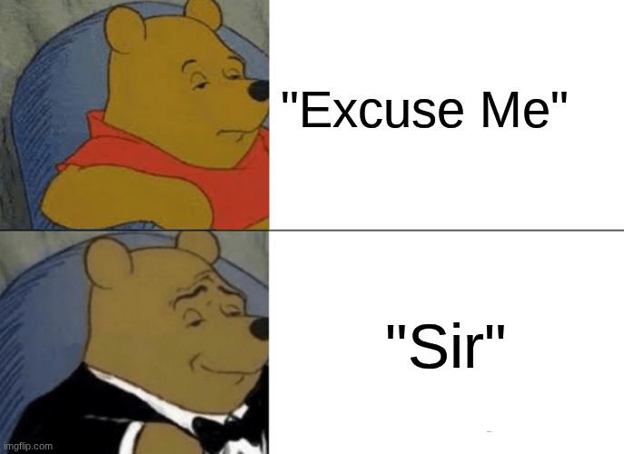 "Excuse Me" vs "Sir" | "Excuse Me"; "Sir" | image tagged in memes,tuxedo winnie the pooh | made w/ Imgflip meme maker