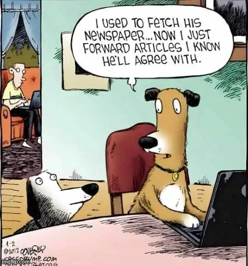 Dog filter | image tagged in reposts,dog filter | made w/ Imgflip meme maker