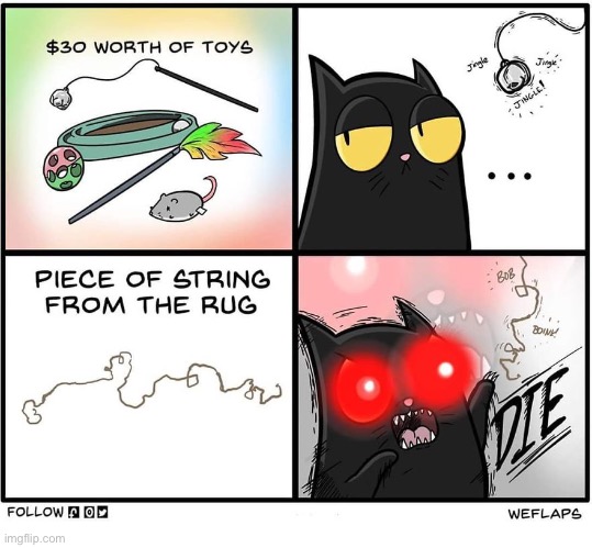 WeFlaps | image tagged in cats,comics,weflaps,coral,cat toys,string | made w/ Imgflip meme maker