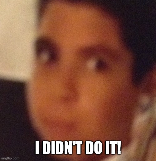 "I didn't do it..." | I DIDN'T DO IT! | image tagged in i didn't do it | made w/ Imgflip meme maker
